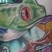 Tattoos - tree frog 03 - 62480